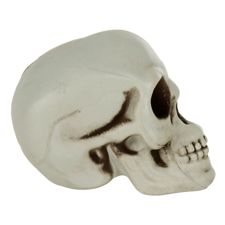 Pack of 6 Skulls 10cm Plastic Set Halloween Party Decoration